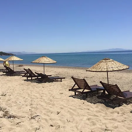Bada Koesk Ayvalı